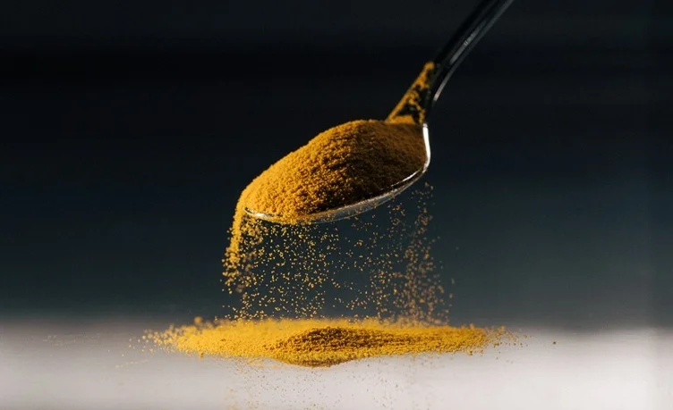 Solar Foods: Gas Fermentation Platform for Next-Generation Food Systems