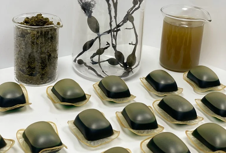 PlantSea: Sustainable Packaging Through Seaweed-Based Biomaterials