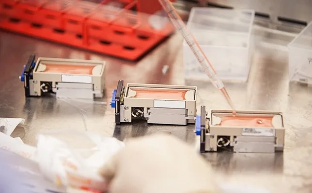 Yuri: Microgravity as a Platform for Life Science Innovation
