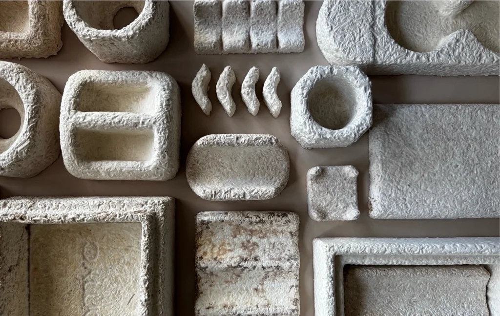 Biomyc: Growing Sustainable Products from Mushroom Roots
