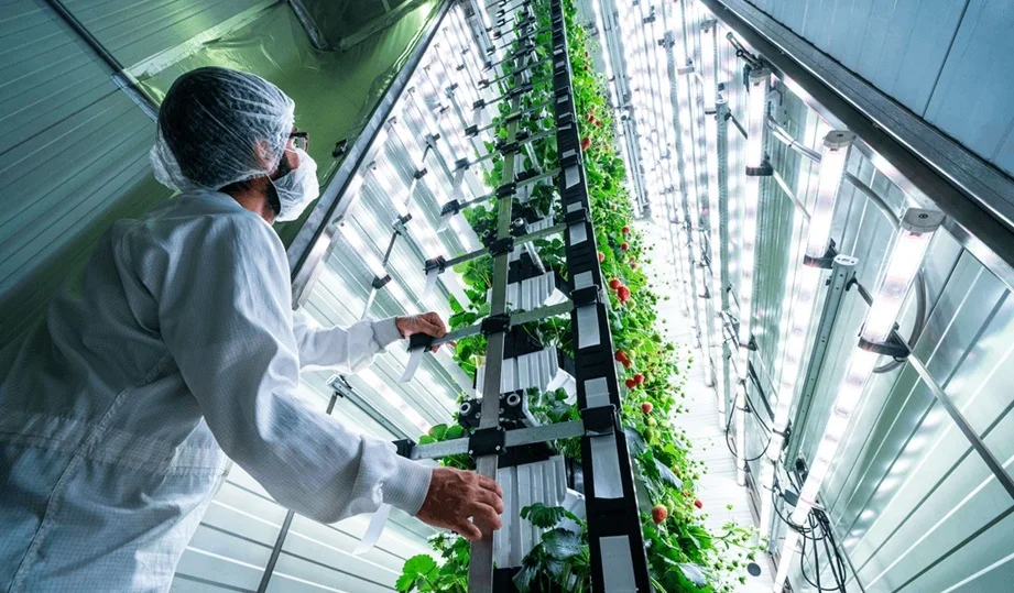vGreens: Data-Driven Systems for Resilient Food Production