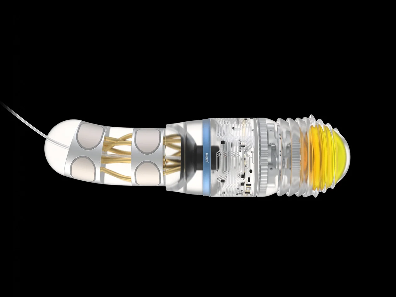 Robeauté: Microrobotics at the Frontier of Neurosurgery